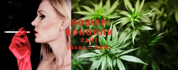 сатива Балахна