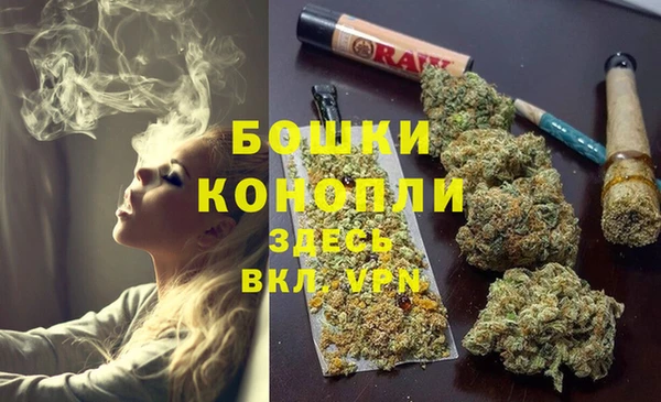 сатива Балахна