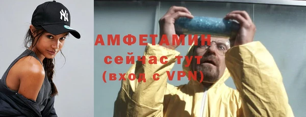 сатива Балахна