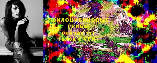 прущая мука Армянск