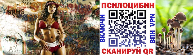 Псилоцибиновые грибы Psilocybe  дарнет шоп  Северо-Курильск 